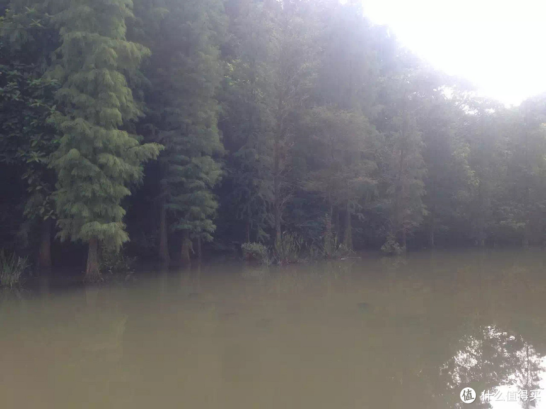 广州有多好玩?进来看过才知道(图5) 广州有多好玩?进来看过才知道