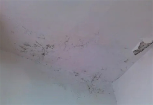 房屋漏水怎么办(图3) 房屋漏水怎么办(图3)