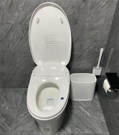 马桶为什么叫马桶(图3)