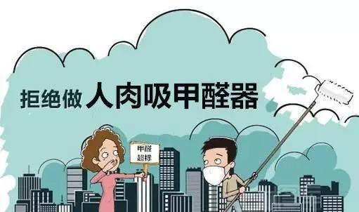竹炭能吸收甲醛吗(图3)