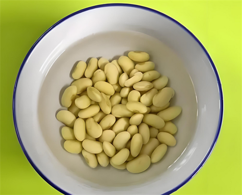 破壁机做豆浆要泡豆子吗(图3) 破壁机做豆浆要泡豆子吗(图3)