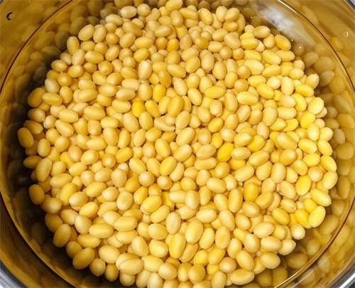 1200毫升的豆浆机放多少豆子(图2) 1200毫升的豆浆机放多少豆子(图2)