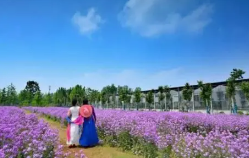 郑州约会适合去的地方有哪些 郑州约会的浪漫餐厅有哪些(图1) 郑州约会适合去的地方有哪些 郑州约会的浪漫餐厅有哪些(图1)