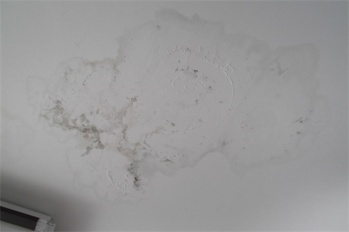 二手房漏水怎么处理(图2) 二手房漏水怎么处理(图2)