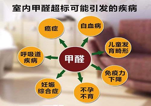 一般涂料刷完几天可以入住 房子刷完涂料如何去味(图2) 一般涂料刷完几天可以入住 房子刷完涂料如何去味(图2)
