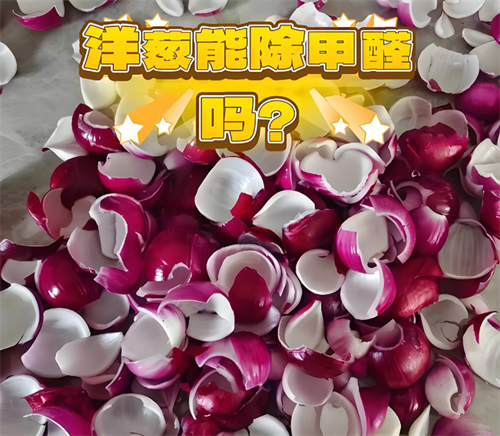 洋葱能去除甲醛吗(图3) 洋葱能去除甲醛吗(图3)