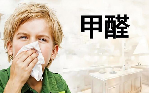 除甲醛是智商税吗(图3) 除甲醛是智商税吗(图3)