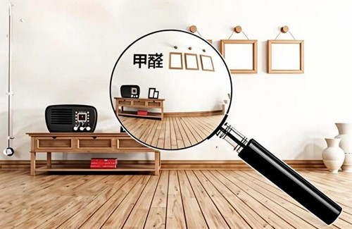 除甲醛是智商税吗(图4) 除甲醛是智商税吗(图4)