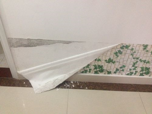 墙纸发霉如何处理干净 预防墙纸发霉方法有哪些(图2) 墙纸发霉如何处理干净 预防墙纸发霉方法有哪些(图2)