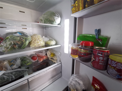 冰箱买玻璃门和塑料门哪个好(图1) 冰箱买玻璃门和塑料门哪个好(图1)