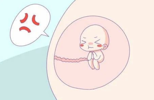 孕妇蹲多久胎儿缺氧 胎儿缺氧孕妇啥感觉(图4) 孕妇蹲多久胎儿缺氧 胎儿缺氧孕妇啥感觉(图4)