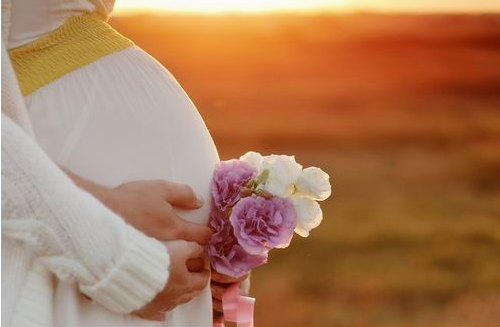 孕妇吃鸭肉对胎儿好吗 孕妇吃鸭肉会导致胎儿畸形吗(图1) 孕妇吃鸭肉对胎儿好吗 孕妇吃鸭肉会导致胎儿畸形吗(图1)