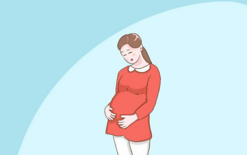 孕妇吃鸭肉对胎儿好吗 孕妇吃鸭肉会导致胎儿畸形吗(图2) 孕妇吃鸭肉对胎儿好吗 孕妇吃鸭肉会导致胎儿畸形吗(图2)