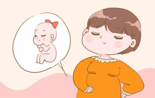 孕妇吃鸭肉对胎儿好吗 孕妇吃鸭肉会导致胎儿畸形吗(图3) 孕妇吃鸭肉对胎儿好吗 孕妇吃鸭肉会导致胎儿畸形吗(图3)
