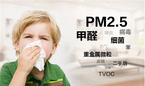 甲醛中毒怎么办   五大招巧除空间甲醛