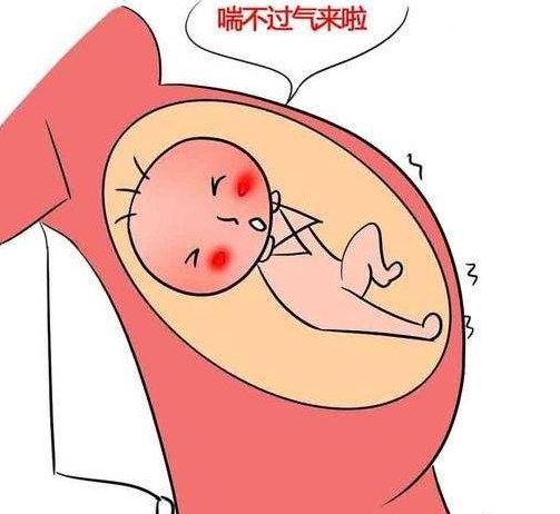 孕期怎样防止胎儿缺氧 孕期怎么知道孩子缺氧(图3) 孕期怎样防止胎儿缺氧 孕期怎么知道孩子缺氧(图3)