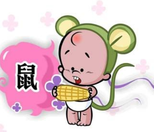男属鼠女属虎相配吗 男鼠和女虎能白头到老吗(图4)