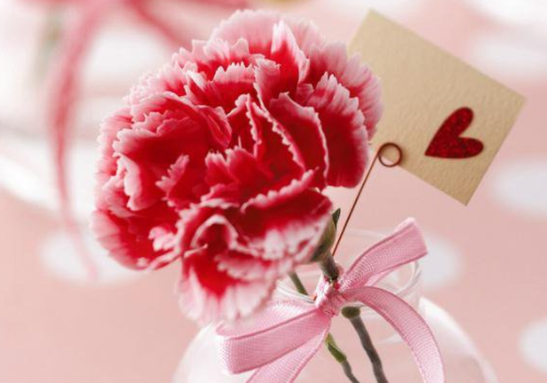 探病鲜花卡片祝福语 给出院长辈的鲜花卡片写什么(图2) 探病鲜花卡片祝福语 给出院长辈的鲜花卡片写什么(图2)