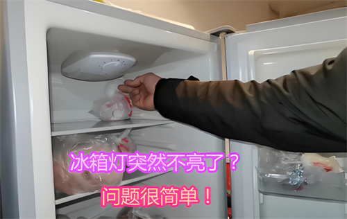 冰箱灯不亮需要修吗(图4) 冰箱灯不亮需要修吗(图4)