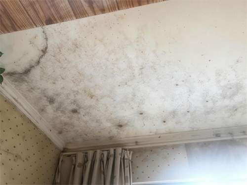 房屋漏水鉴定费用收取标准是什么(图3) 房屋漏水鉴定费用收取标准是什么(图3)