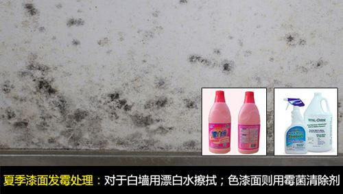 墙面发霉怎么处理妙招 预防墙面发霉小贴士(图3) 墙面发霉怎么处理妙招 预防墙面发霉小贴士(图3)