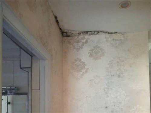 房屋漏水怎么查找漏水点(图3) 房屋漏水怎么查找漏水点(图3)
