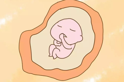 孕晚期胎儿不怎么动怎么回事 孕晚期胎儿不怎么动了正常吗(图1) 孕晚期胎儿不怎么动怎么回事 孕晚期胎儿不怎么动了正常吗(图1)