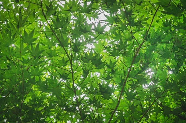 独特的qq昵称280个，好听的qq名