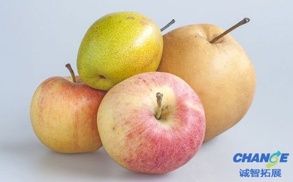 集体游戏：苹果与凤梨