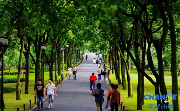 西湖十景是什么，西湖十景是哪十景