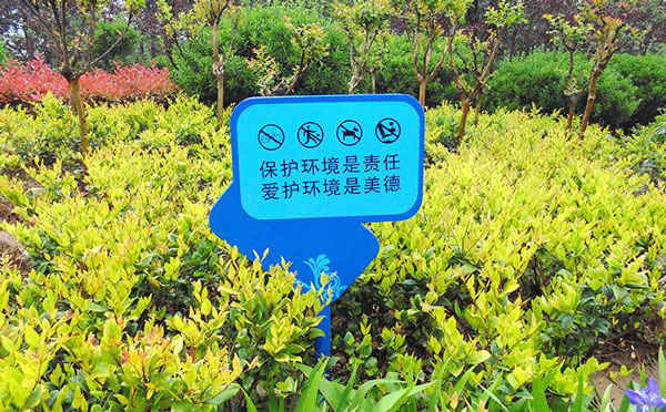 保护植物标语