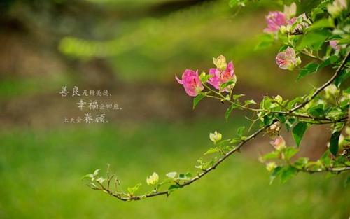 微信名女生霸气