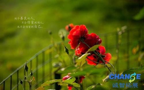 含芬的微信名