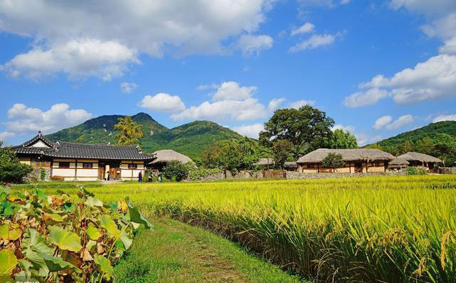 未来的生态农业旅游发展前景如何？
