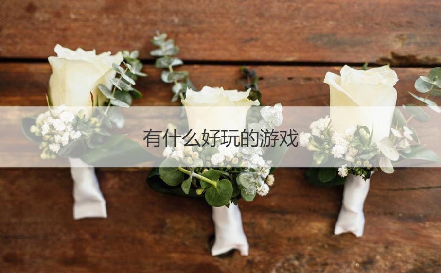 有什么好玩的游戏  伴郎堵门游戏