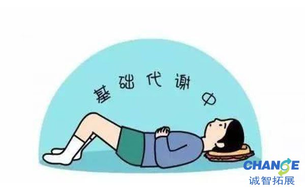 基础代谢率计算公式 基础代谢率的正常范围