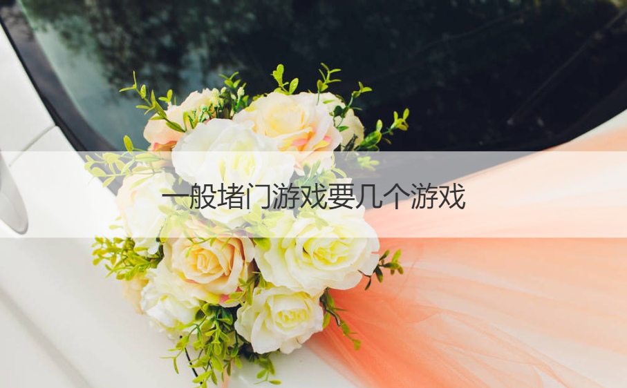 一般堵门游戏要几个游戏