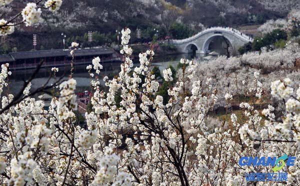 河南樱桃沟拓展基地