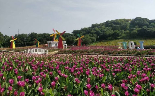 东莞松湖花海拓展基地