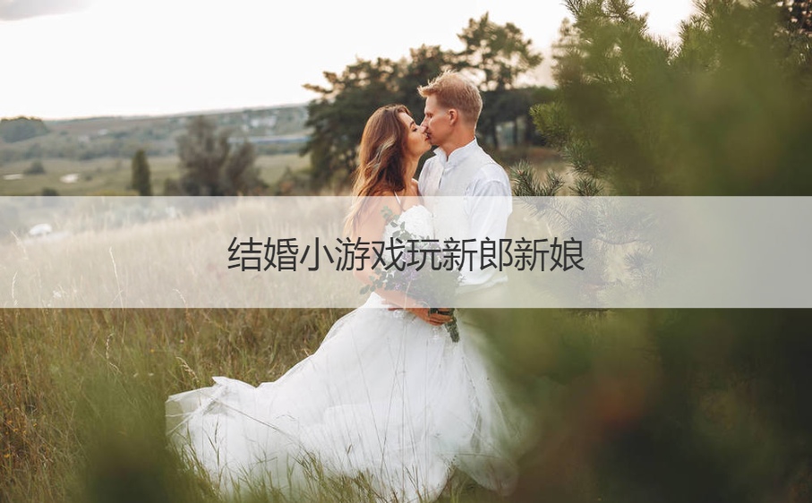 结婚小游戏玩新郎新娘