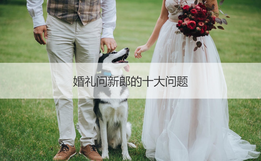 婚礼问新郎的十大问题