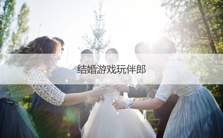 结婚游戏玩伴郎  结婚游戏玩新郎最新